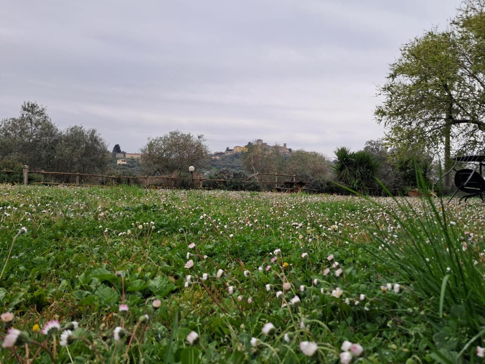 8380 Agriturismo Il Saragiolo Manciano Exterior foto